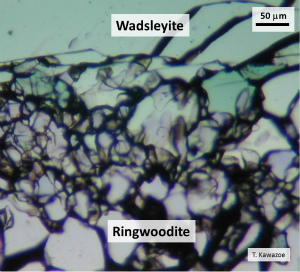 Simulated 520-km discontinuity, where ringwoodite coexists with wadsleyite at ~18 GPa and ~1800 K